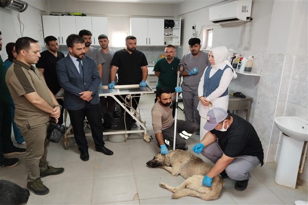 Şanlıurfa’da sahipsiz hayvanların aşılanması gibi konulara yönelik eğitim verildi