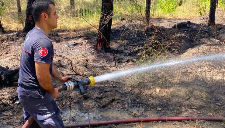 Gazipaşa yangını için Antalya Büyükşehir Belediyesi’nden çalışma