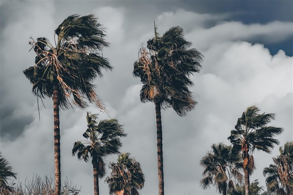 Meteoroloji’den kuvvetli rüzgar uyarısı