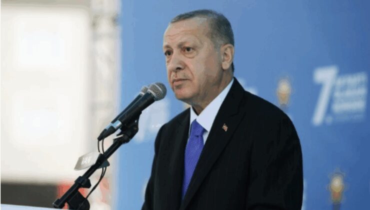 Cumhurbaşkanı Erdoğan: Orman yangınlarıyla mücadelede teyakkuzdayız