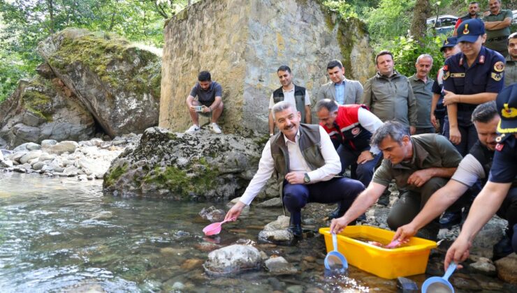 Artvin’de Hatila Vadisi Milli Parkı’ndaki dereye 5 bin alabalık yavrusu bırakıldı