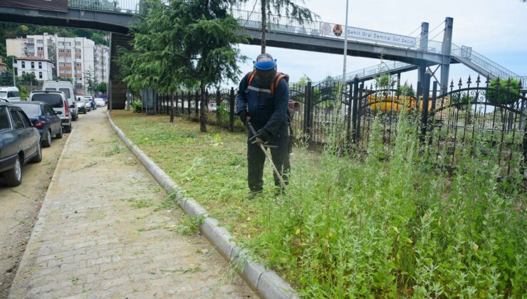 Giresun Belediyesi’nden çevre düzenleme çalışması