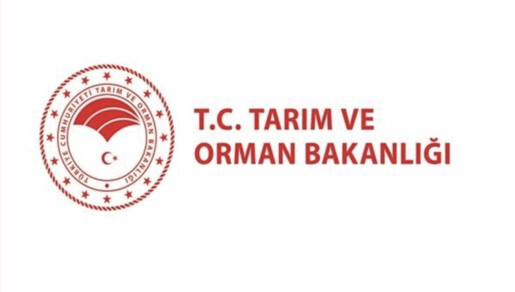Kahramanmaraş’ta orman yangınlarıyla mücadele sürüyor