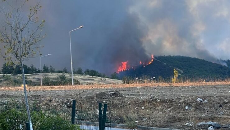 Bursa’nın Gürsu ilçesinde yangın çıktı