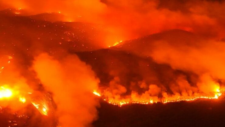 Yeşil Vatan yanıyor: Bursa, Karabük ve Kahramanmaraş’ta son durum
