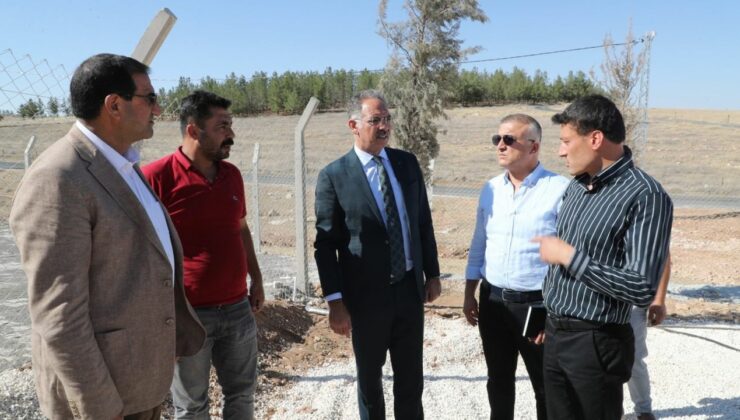 Eyyübiye’de Hayvan Bakımevi hizmete giriyor