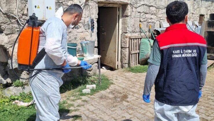 Kars’ta İlçe Tarım ve Orman Müdürlüğü ekipleri sahada: Yayıklı Köyü’nde dezenfeksiyon ve kontrol çalışması