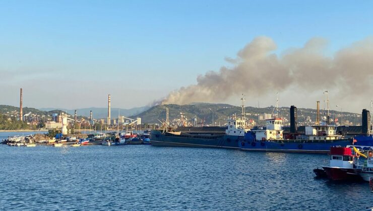 Karadeniz Ereğli’de orman yangını