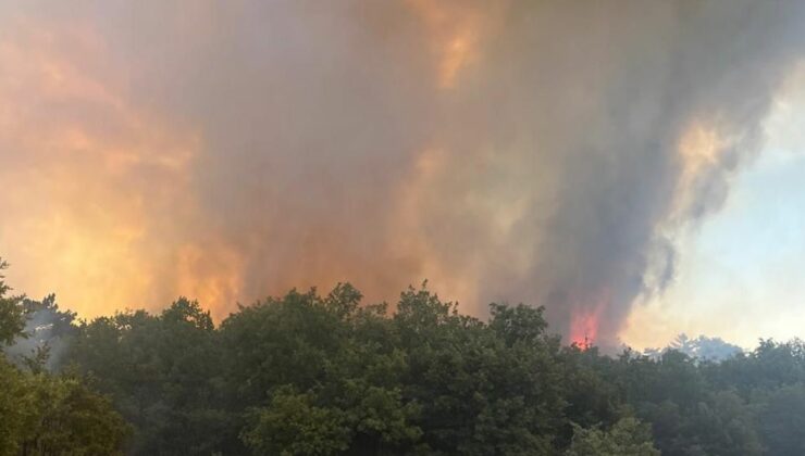 Sakarya’da peş peşe yangın!