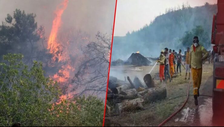 Antalya’da 9 günde 14 orman yangını! 45 hektar alan zarar gördü