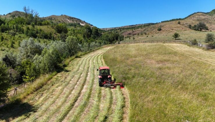Tarım ÜFE, haziran ayında yüzde 18,82 artış gösterdi