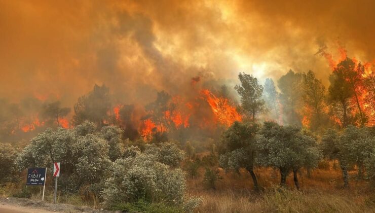 Beykoz’daki orman yangınıyla ilgili 1 kişi tutuklandı