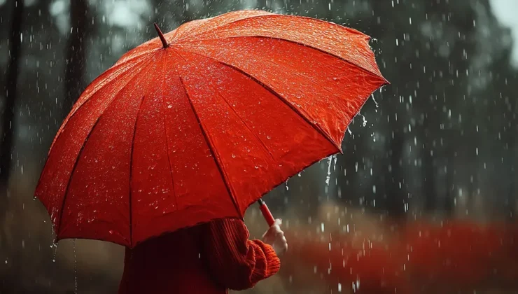 Doğu Karadeniz’de kuvvetli yağış uyarısı
