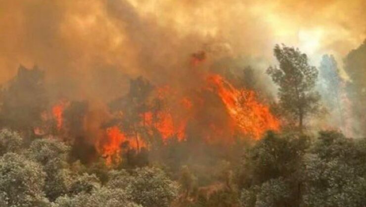 Son 15 günde yangınlarla ilgili 17 kişi tutuklandı