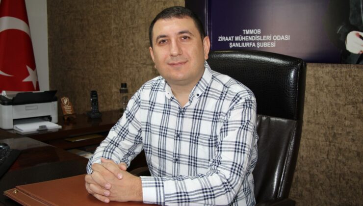 Şanlıurfa Ziraat Mühendisleri Odası Başkanı Süzen’den çiftçilere soya tavsiyesi