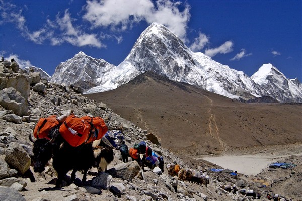 Nepal, Everest’e turizmin artmasıyla 97 zirveye ücretsiz tırmanış imkanı sunuyor
