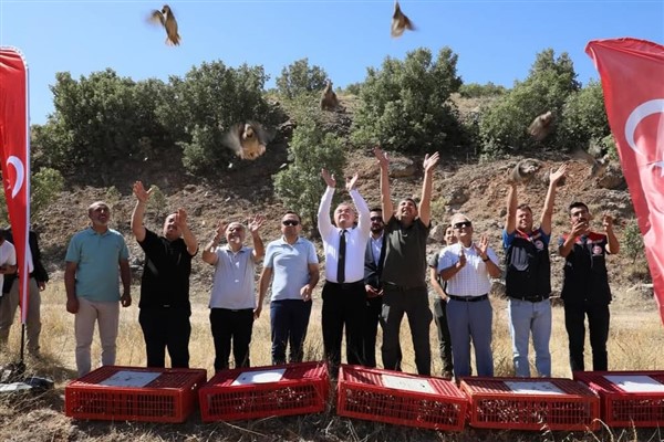 Mardin kırsalına 200 kınalı keklik daha salındı