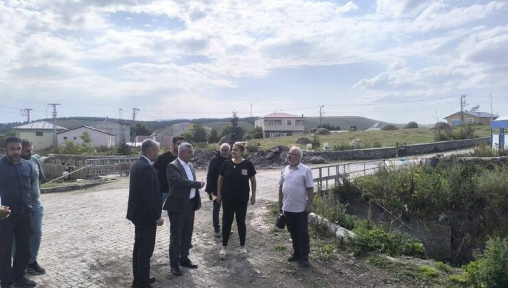DSİ 24. Bölge Müdürü Serdar Kotan, Ardahan’daki derelerde devam eden çalışmaları yerinde inceledi