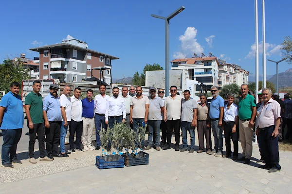 Büyükşehir’den Gazipaşa’ya fidan desteği